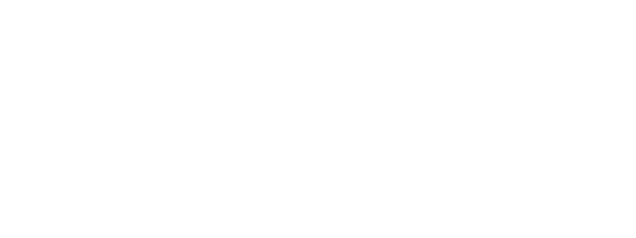 Logo blanc ISO 27001