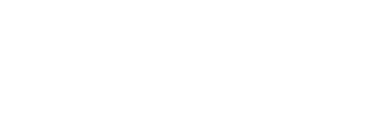 Logo SOC 2 type 1 carrousel