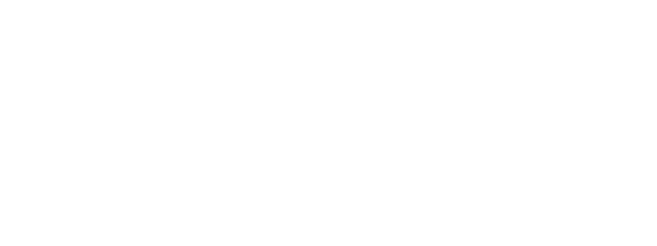 Logo blanc Swift prevalidation